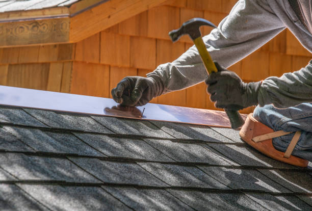 Best Roof Ventilation Installation  in Remerton, GA
