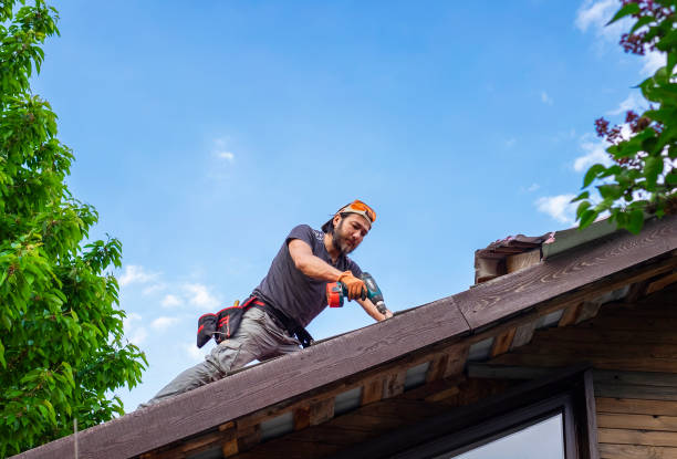 Asphalt Shingles Roofing in Remerton, GA
