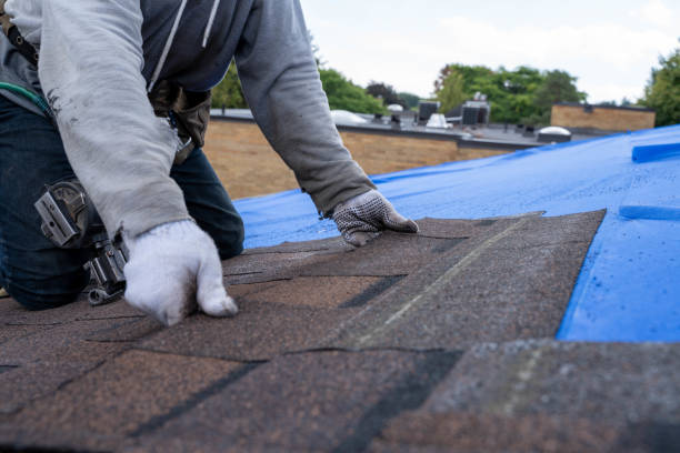 Best Rubber Roofing (EPDM, TPO)  in Remerton, GA